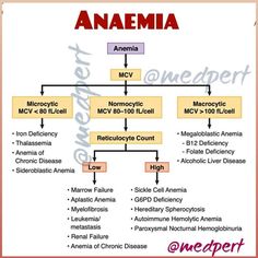 the anaemia flow diagram