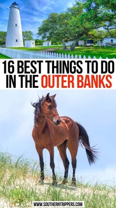 Best Things to Do in the Outer Banks Outer Banks Things To Do, Outerbanks Travel Guide, Shows To Watch If You Like Outer Banks, Best Places To Stay In Outer Banks, Outer Banks Travel, Couple Trips, Outer Banks North Carolina Vacation, East Coast Vacation, South Usa