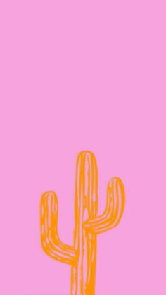 an orange cactus against a pink background