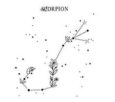 the scorption is shown in black and white, with dots on it's surface