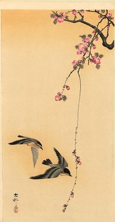 two birds are flying in the air near a branch with pink flowers and green leaves