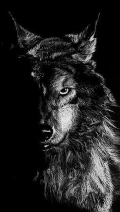 a black and white photo of a wolf