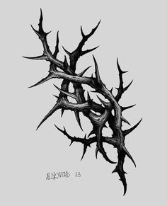 an ink drawing of a tree branch