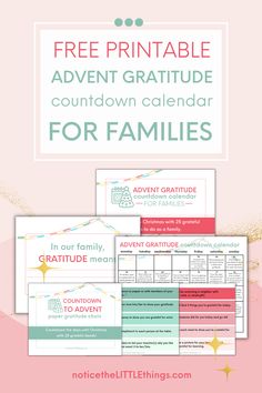 the free printable calendar for families to use on their family's schedules