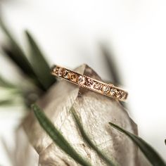 This gorgeous piece was made to stand out day or night! The Champagne Diamond Pea Pod Eternity Ring is a channel set band that has champagne diamonds strung together neatly in a perfect row. Its beauty was made to reflect that everlasting love you'll share for years to come. Luxury Rose Gold Channel Set Jewelry, Rose Gold Diamond Band In Fine Jewelry Style, Luxury Rose Gold Jewelry With Channel Set, Timeless Diamond Eternity Band With Rose Cut, Luxury Gold Eternity Band With Channel Set, Anniversary Eternity Band With Rose Cut Cubic Zirconia, Luxury Wedding Stackable Rings With Single Cut Diamonds, Diamond Eternity Band With Rose Cut For Promise Ring, Dazzling Gold Eternity Band With Diamond Accents