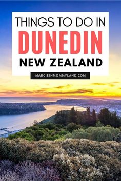 the sunset with text overlay that reads things to do in dunedan new zealand