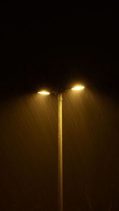 two street lights are lit up in the dark at night, with snow falling on them