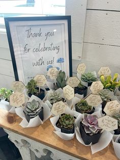 there are many succulents on the table with thank you for celebrating with us