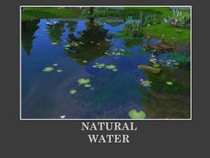 Nature Cc Sims 4, Sims 4 Garden Mods, Sims 4 Water Cc, Sims 4 Free Mods, Cc Makeup, Ts4 Mods, Sims 4 Tsr, Sims 4 Studio, Beacon Hills