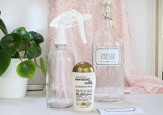 a bottle of coconut milk next to a spray bottle and a potted plant