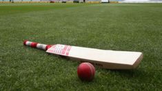 a cricket bat and ball laying on the grass