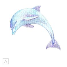 a drawing of a dolphin jumping in the air