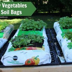 several bags filled with vegetables sitting on top of a table