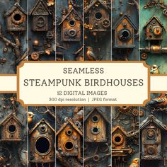 the front cover of steampunk birdhouses