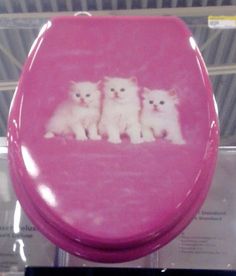 three white kittens sitting on top of a pink toilet seat in a display case