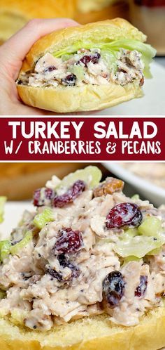 turkey salad sandwich with cranberries and pecans