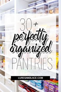 pantry shelves with the words 30 perfectly organized pantrys