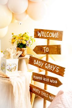 a welcome sign with balloons in the background and baby's name written on it