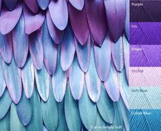 an image of feathers that are different colors