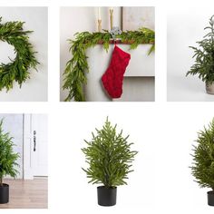 four different images of christmas decorations and plants