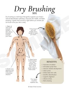 Dry Brushing 101 Handout — Functional Health Research + Resources — Made Whole Nutrition