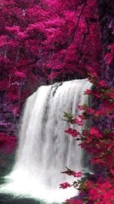 the waterfall is surrounded by pink flowers and trees with red leaves on it's sides