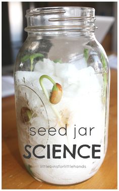 a jar filled with white flowers and dirt