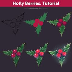 holly berries with red berries and green leaves on them, set of four different angles