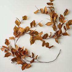 some brown leaves are laying on the wall