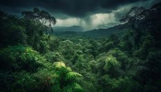 the rainforest is full of lush green trees and plants under a dark sky with storm clouds