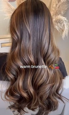 https://pin.it/58e8mUBf9 Toned Down Balayage, Brown Carmel Honey Hair, Brown Highlights With Money Piece, Black Hair With Brunette Highlights, Brown Balyage Long Hair Brunettes, Highlights Brown Hair With Layers, Brunette With Highlights Caramel, Morenita Hair Color, Brown Sugar Highlights