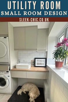 a dog laying on top of a black rug in a kitchen next to a washer and dryer