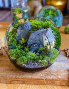 a glass bowl filled with moss and rocks on top of a wooden table next to two vases