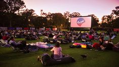 people are sitting on the grass watching movies at sunset or dawn in an open field