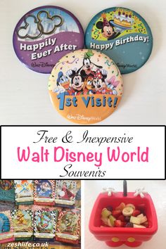 disney world souvenirs with the text free & expensive walt and mickey world souvenirs