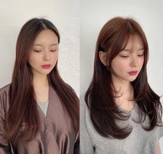 Medium Hair Hairstyles, Korean Long Hair, Korean Hair Color, Layered Haircuts For Medium Hair, Bangs With Medium Hair, Shot Hair Styles