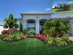 a house with landscaping and palm trees in the front yard