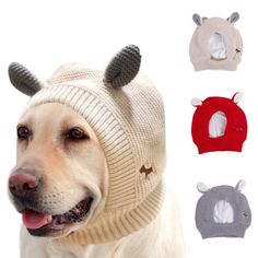 a dog wearing a knit hat with antlers on it's ears and nose