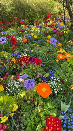 a field full of different colored flowers next to trees