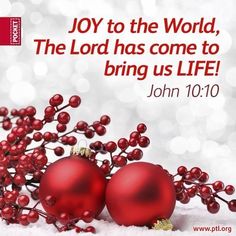 two red christmas ornaments on snow with the words joy to the world, the lord has come to bring us life john 10 10