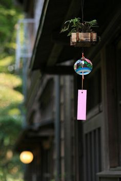 a bird feeder hanging from the side of a building with a pink tag attached to it