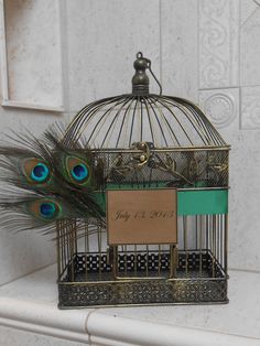 a bird in a cage with some feathers on it