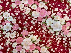 a red background with white and pink flowers