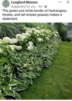 some plants that are in the grass and one is white with green leaves on it