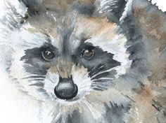 a watercolor painting of a raccoon's face