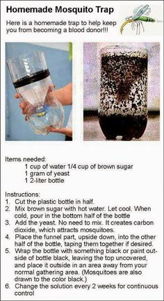 the instructions for how to make homemade mosquito trap