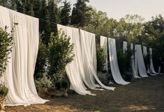 several white drapes are hanging on a line in front of some trees and bushes