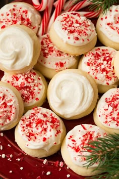 christmas cookies with white frosting and sprinkles on a red plate