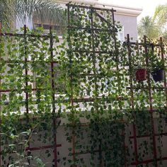 an iron fence covered in green plants next to a building with a window behind it