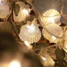 some lights that are hanging from a tree in front of the leaves and branches with green leaves on them